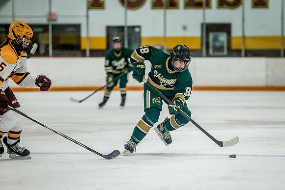 Chisago vs Forest Lake JV Hockey 87