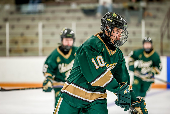 Chisago vs Forest Lake Varsity Hockey 4