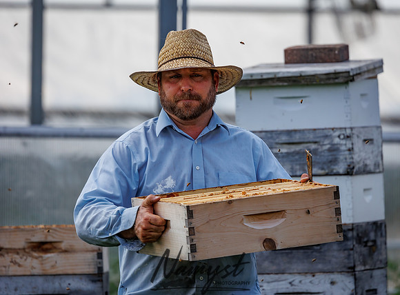 Waldoch Farm Honey Harvest 83
