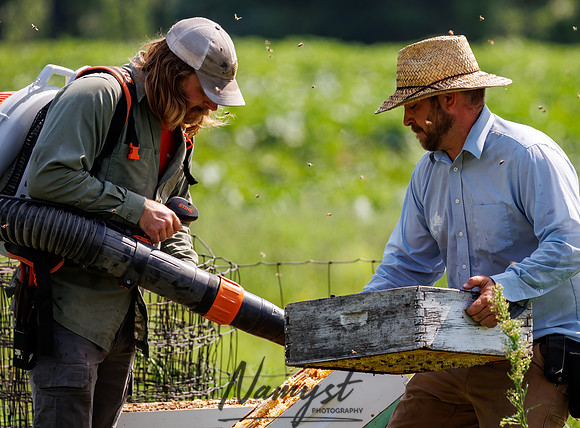 Waldoch Farm Honey Harvest 75