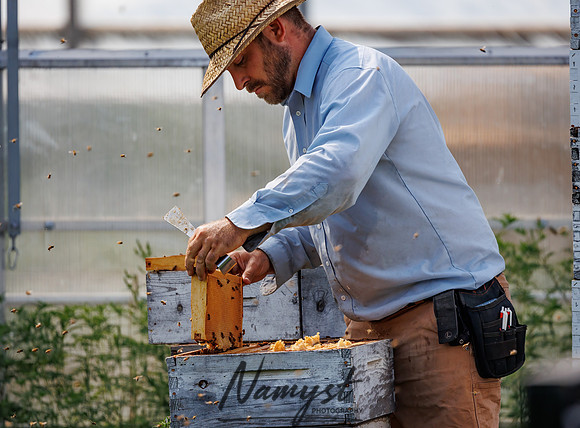 Waldoch Farm Honey Harvest 110
