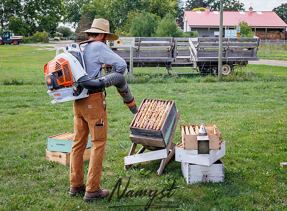 Waldoch Farm Honey Harvest 23