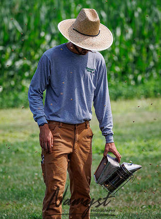 Waldoch Farm Honey Harvest 34