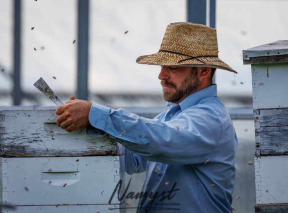 Waldoch Farm Honey Harvest 91