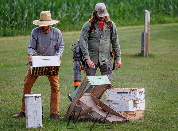 Waldoch Farm Honey Harvest 41