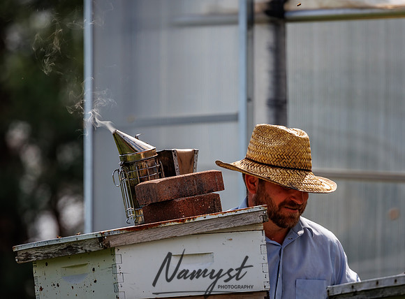 Waldoch Farm Honey Harvest 53