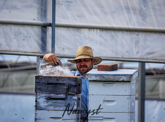 Waldoch Farm Honey Harvest 124