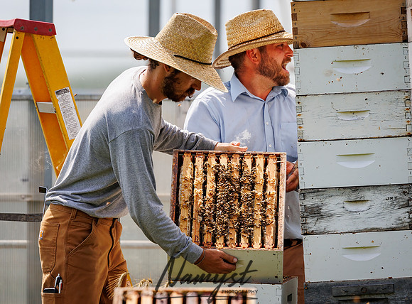 Waldoch Farm Honey Harvest 65