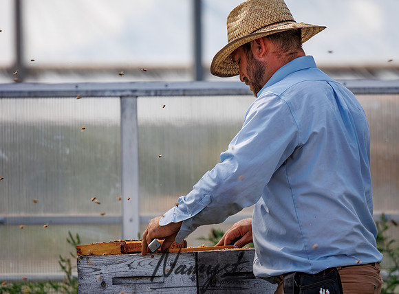 Waldoch Farm Honey Harvest 105