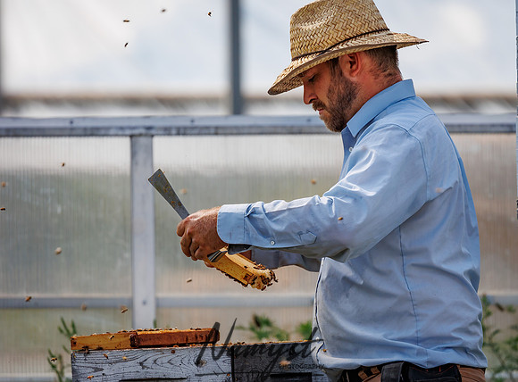Waldoch Farm Honey Harvest 106