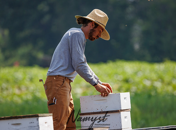 Waldoch Farm Honey Harvest 80