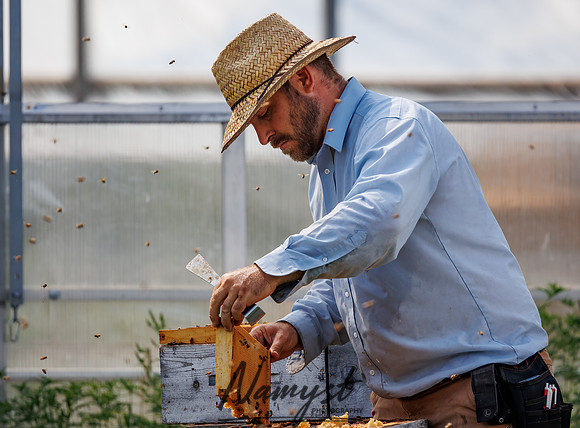 Waldoch Farm Honey Harvest 109