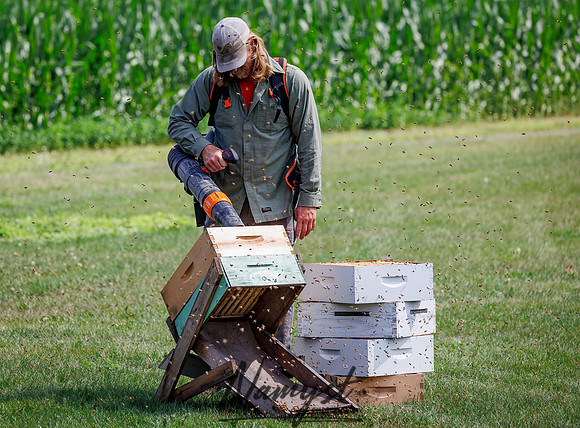 Waldoch Farm Honey Harvest 32