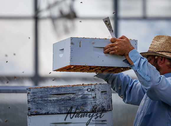 Waldoch Farm Honey Harvest 95