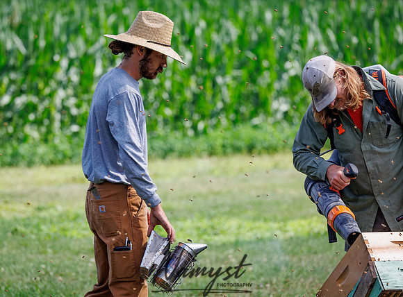Waldoch Farm Honey Harvest 33