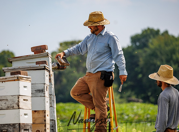 Waldoch Farm Honey Harvest 50