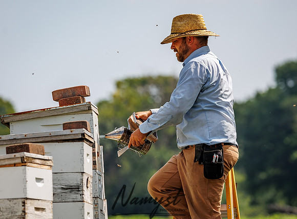 Waldoch Farm Honey Harvest 47