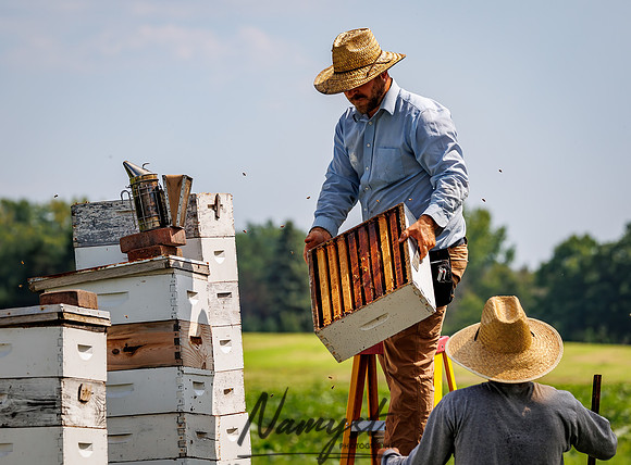 Waldoch Farm Honey Harvest 42