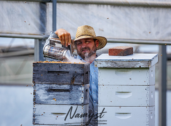 Waldoch Farm Honey Harvest 119