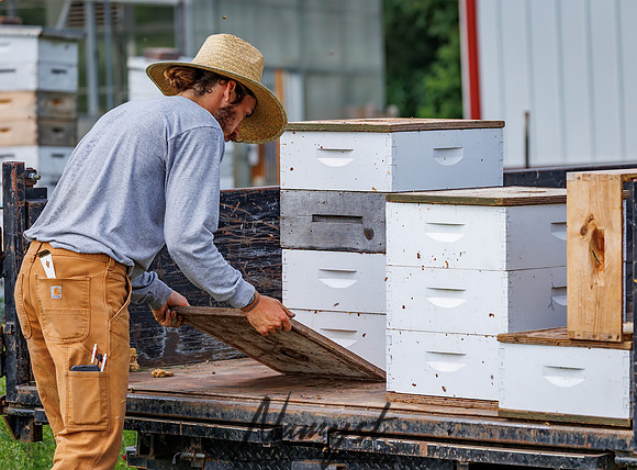 Waldoch Farm Honey Harvest 89