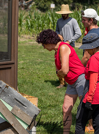 Waldoch Farm Honey Harvest 3