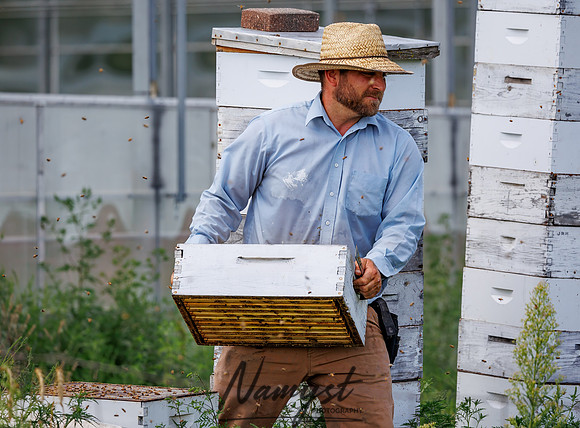 Waldoch Farm Honey Harvest 87