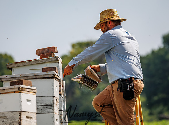 Waldoch Farm Honey Harvest 46