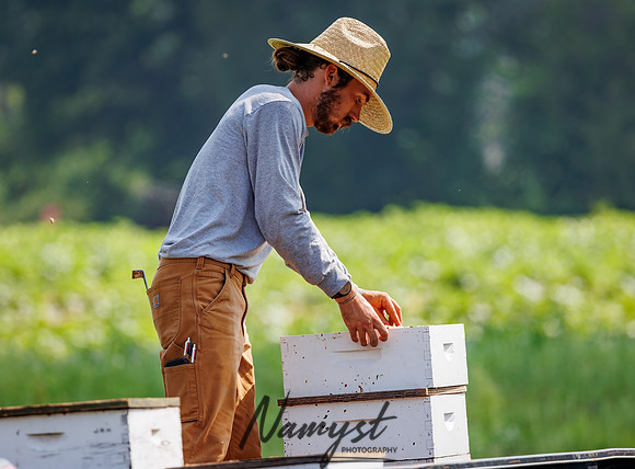 Waldoch Farm Honey Harvest 81