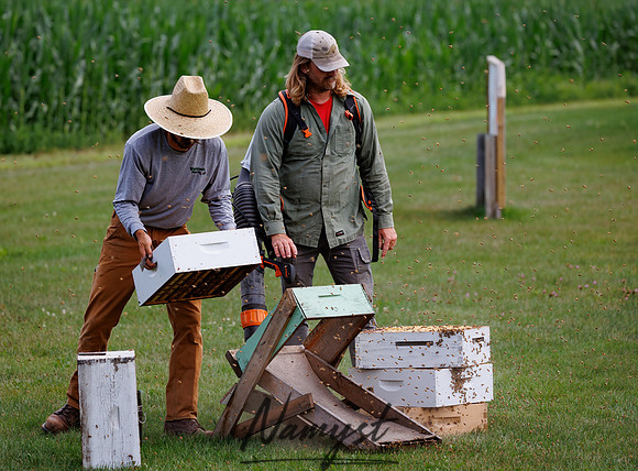 Waldoch Farm Honey Harvest 40