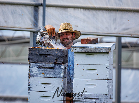 Waldoch Farm Honey Harvest 120