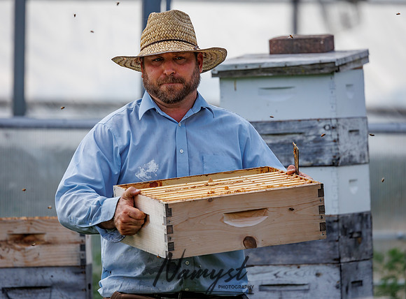 Waldoch Farm Honey Harvest 84