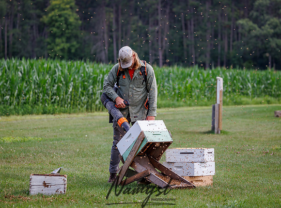 Waldoch Farm Honey Harvest 35