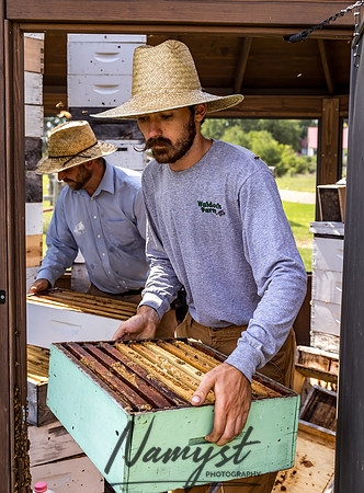 Waldoch Farm Honey Harvest 14