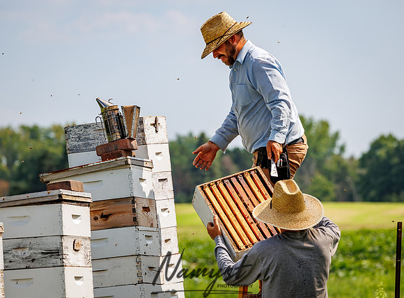 Waldoch Farm Honey Harvest 43
