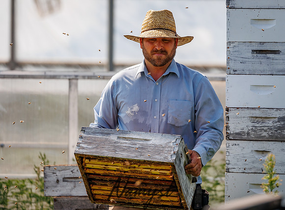 Waldoch Farm Honey Harvest 114