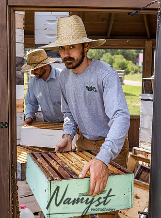 Waldoch Farm Honey Harvest 15