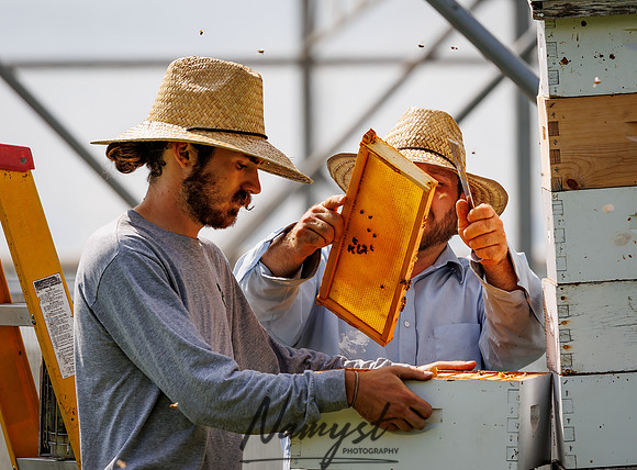 Waldoch Farm Honey Harvest 61