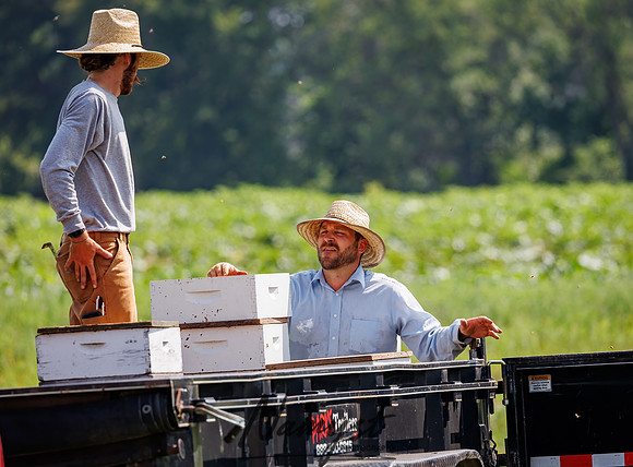 Waldoch Farm Honey Harvest 72