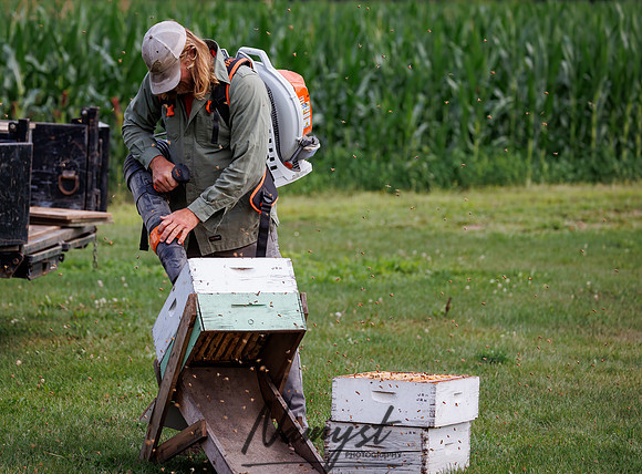 Waldoch Farm Honey Harvest 31