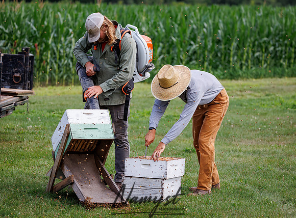 Waldoch Farm Honey Harvest 30