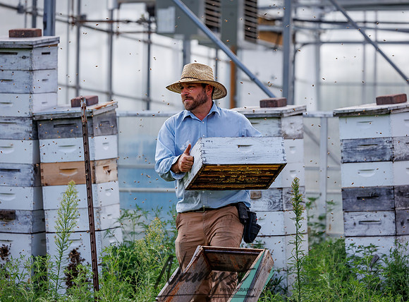 Waldoch Farm Honey Harvest 136