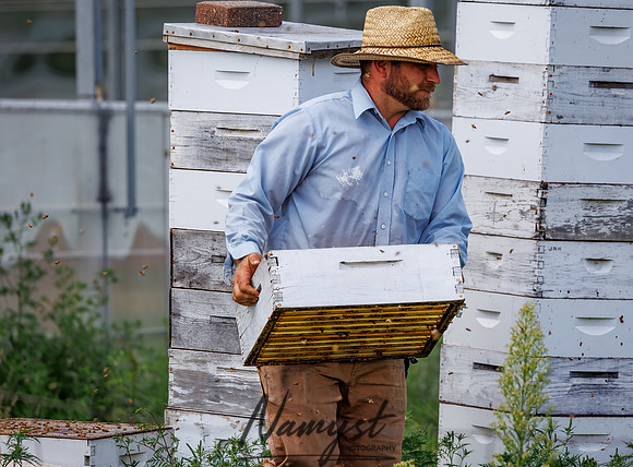 Waldoch Farm Honey Harvest 88