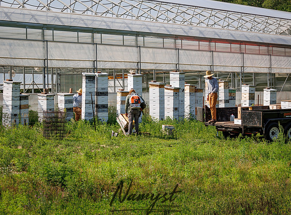 Waldoch Farm Honey Harvest 117