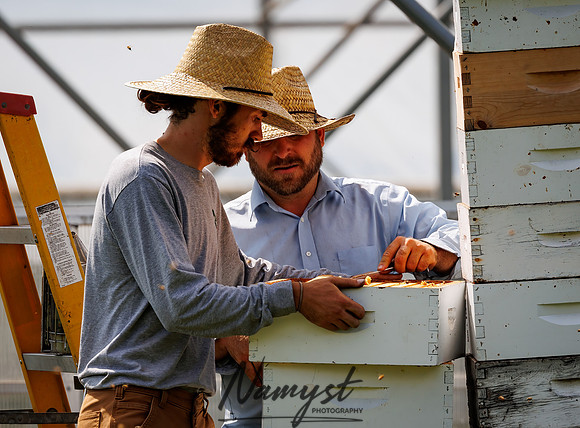 Waldoch Farm Honey Harvest 60