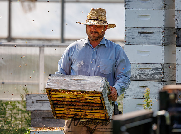 Waldoch Farm Honey Harvest 115