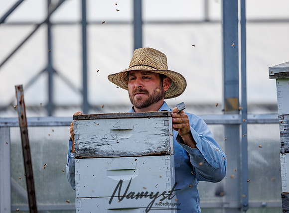 Waldoch Farm Honey Harvest 93