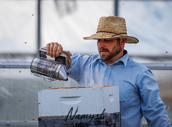 Waldoch Farm Honey Harvest 103