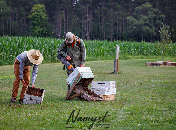 Waldoch Farm Honey Harvest 36