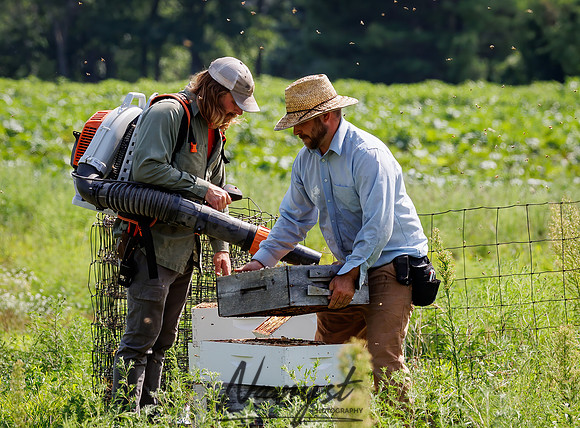 Waldoch Farm Honey Harvest 77