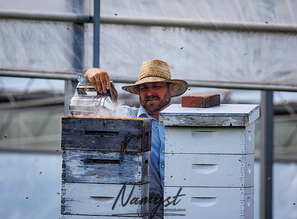 Waldoch Farm Honey Harvest 123